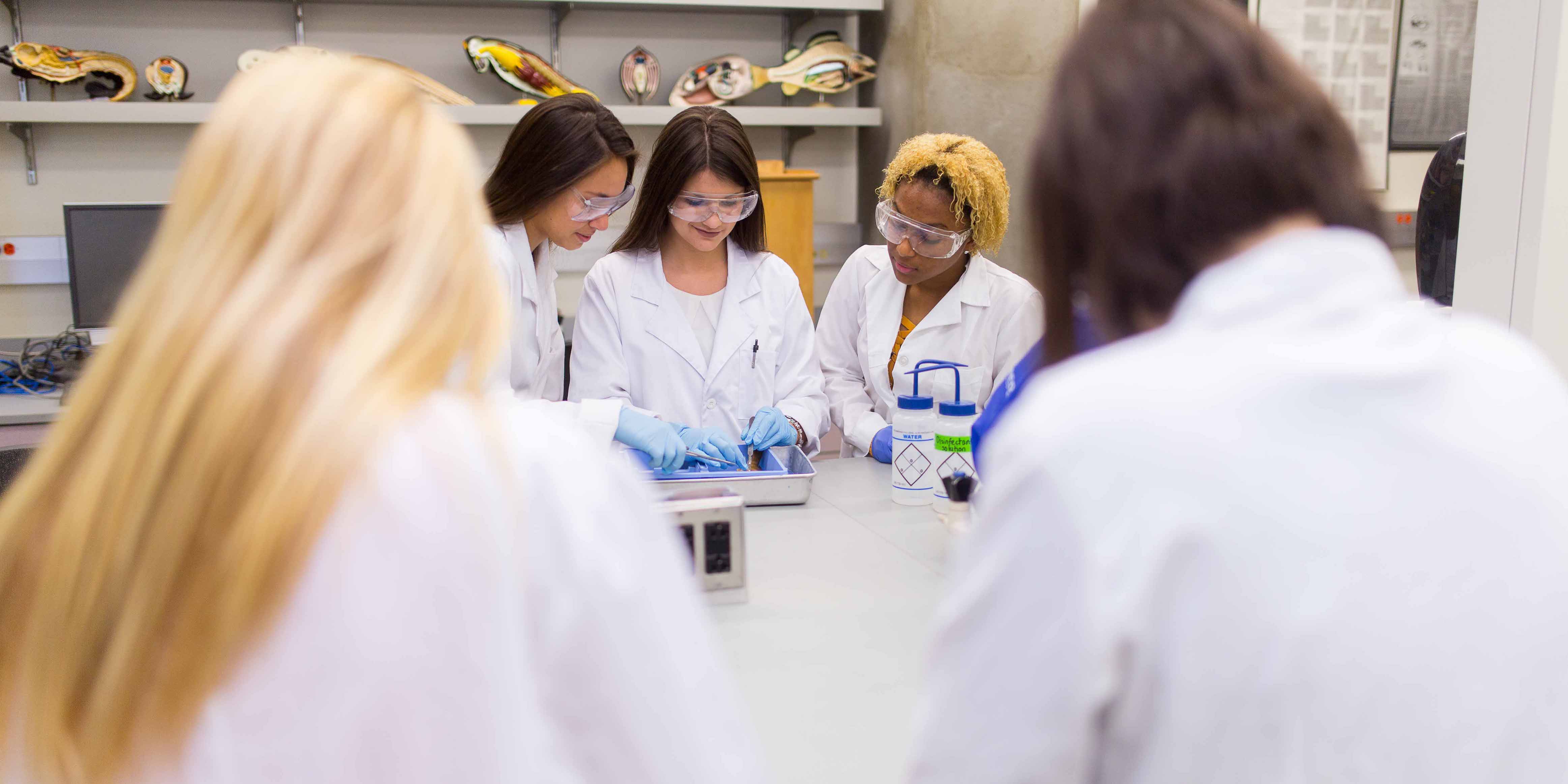 three female students in lab wearing lab coats and safety glasses while dissecting organism