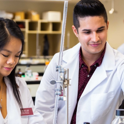 male and female pharmacy students working on lab project