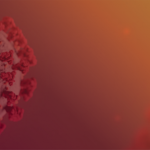 COVID header