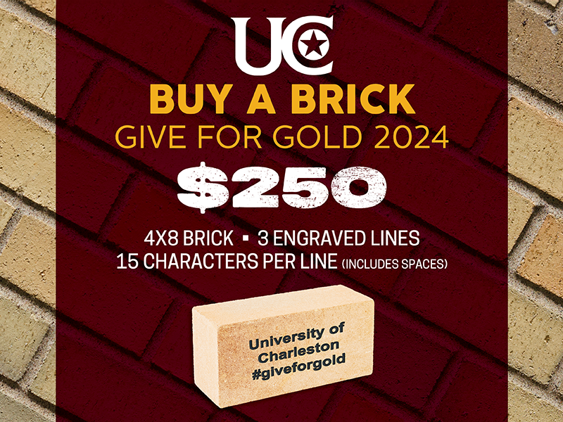 Buy a Brick